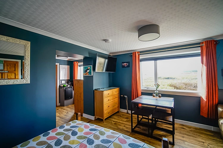 Deluxe King Room / Family Room