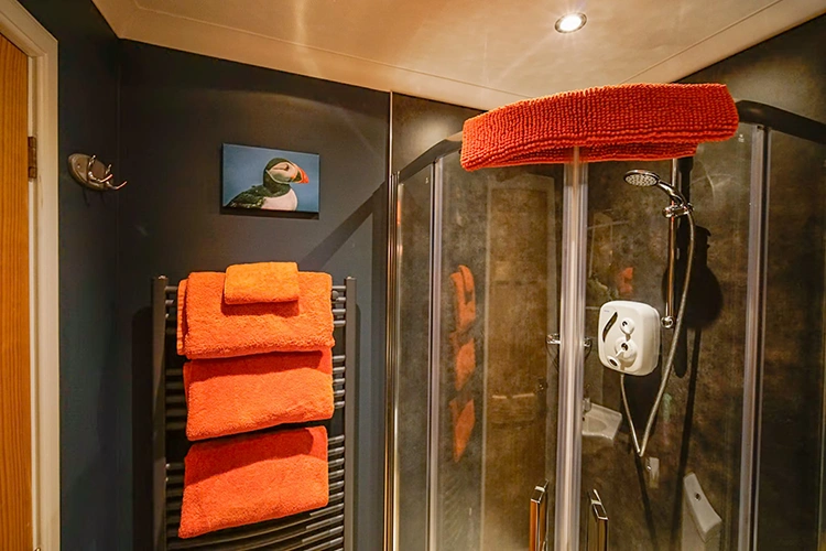 Deluxe King Room / Family Room